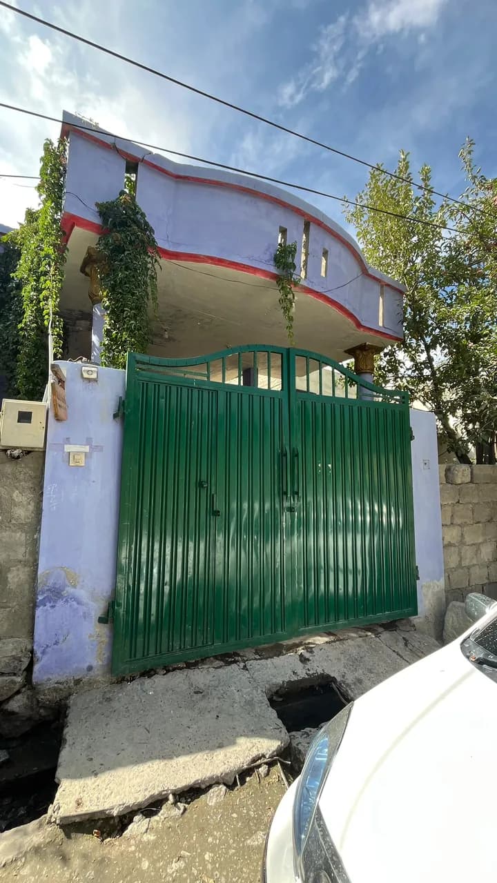 A green metal gate set into a lilac painted house with vines and a fruit tree