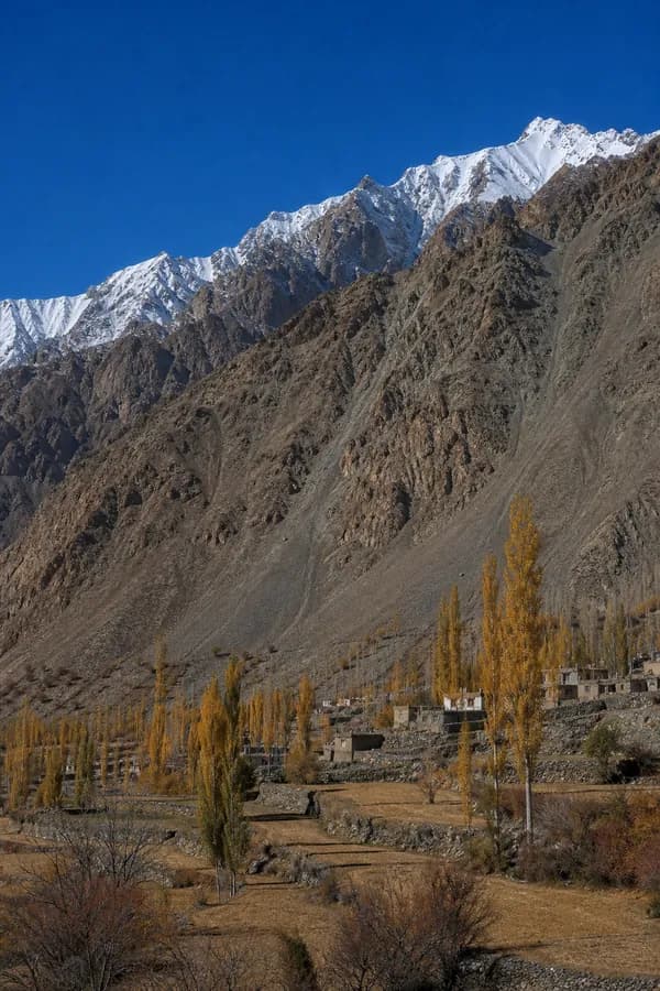 Golden poplars and stone-walled fields on the valley floor below the Karakoram